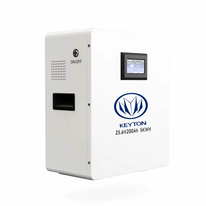 25. 6V Wall-Mounted Series LiFePO4 Battery