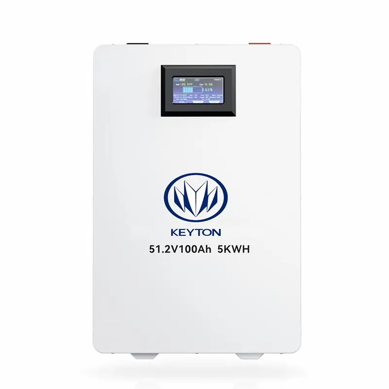 51.2V Wall-Mounted Series LiFePO4 Battery