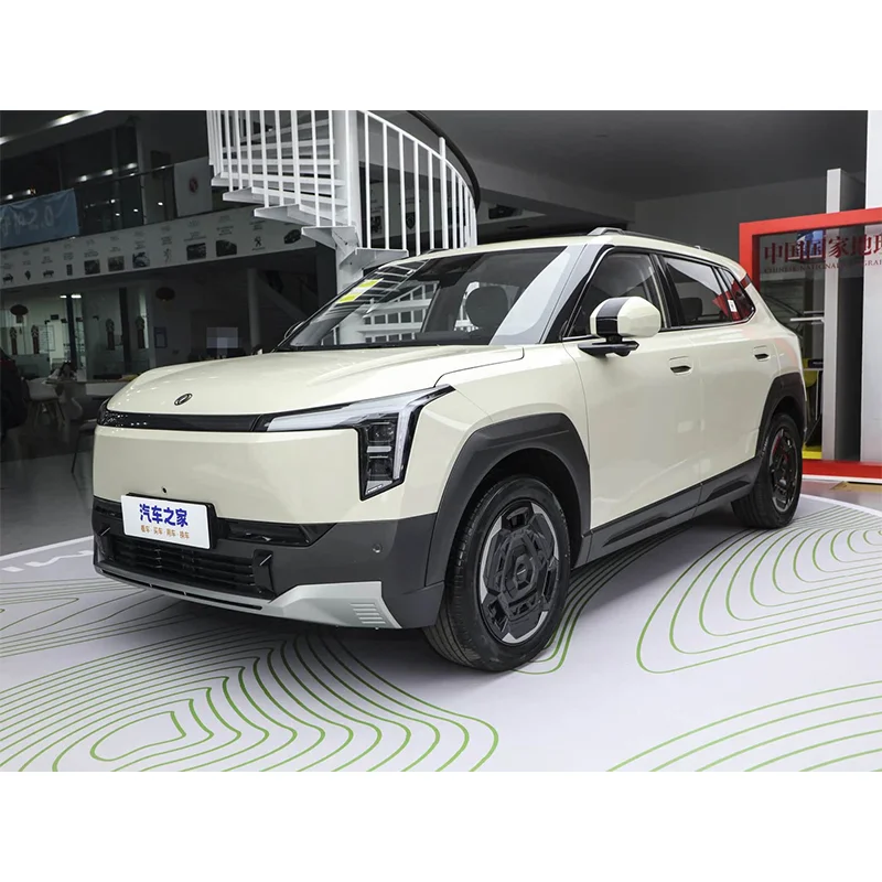 Dongfeng NAMMI06
